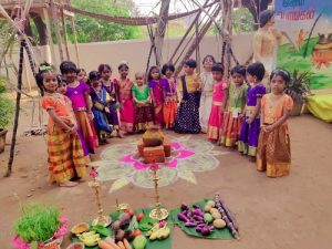 WhatsApp Image 2019-01-11 at 4.16.24 PM